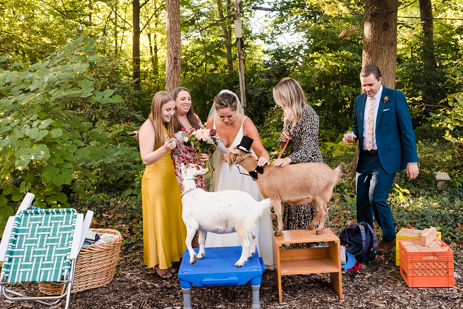 Awbury Arboretum wedding reception cocktail hour with goats