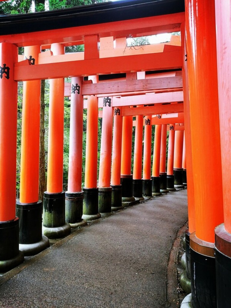 Large orange and black torii line the walking path up the mountain in Kyoto.