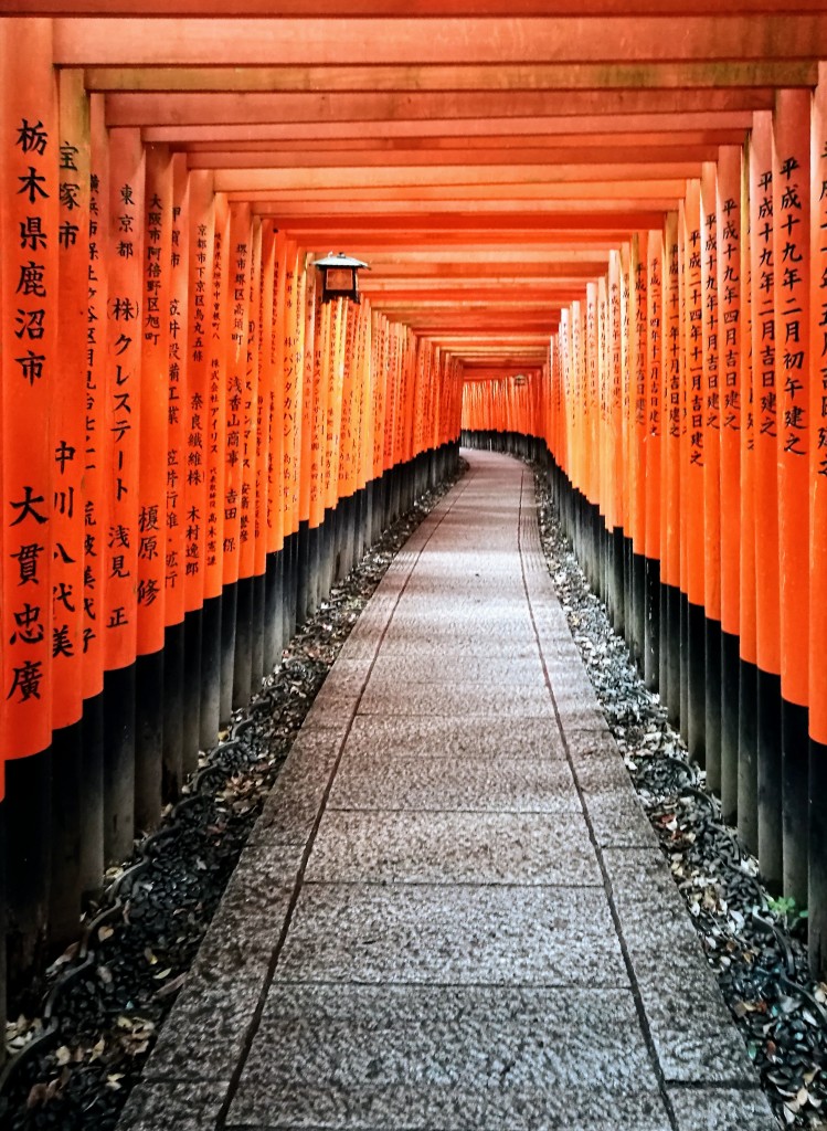 Orange and black torii gates line a walking path in Kyoto Japan.