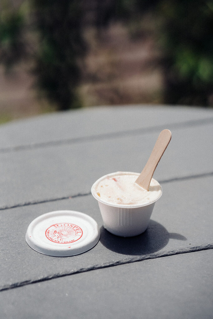 The ice cream during the wedding reception was provided by Potential New Boyfriend in Asheville NC