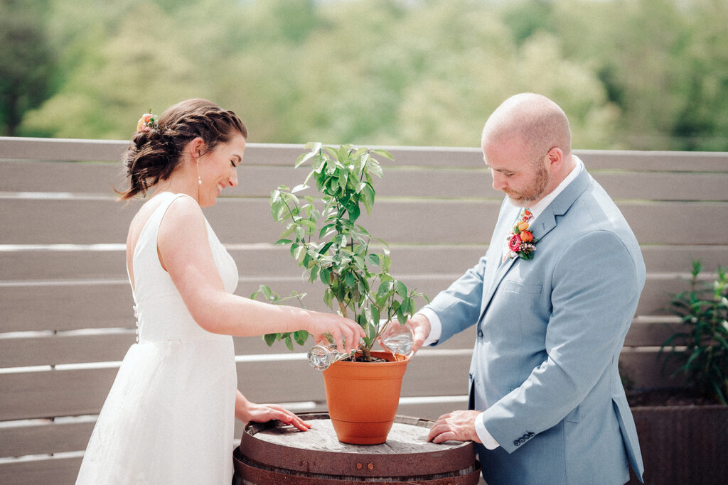 The unity ceremony involved watering a potted plant